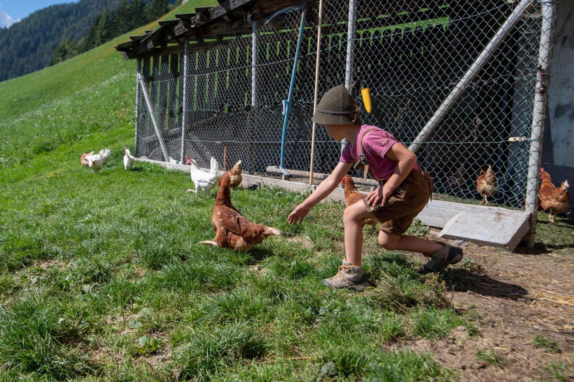 Obergruberhof Lägenhet Klausen Exteriör bild